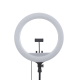 Łóżko Kosmetyczne Składane 60 cm PLATINUM + Lampa Pierścieniowa LED PLATINUM — Zestaw №5