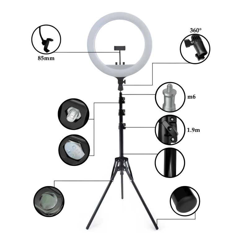 Łóżko Kosmetyczne Składane 60 cm PLATINUM + Lampa Pierścieniowa LED PLATINUM — Zestaw №5