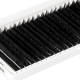Eyelash Extensions Black PLATINUM 20 lines Сurl L 0.07 8-14mm